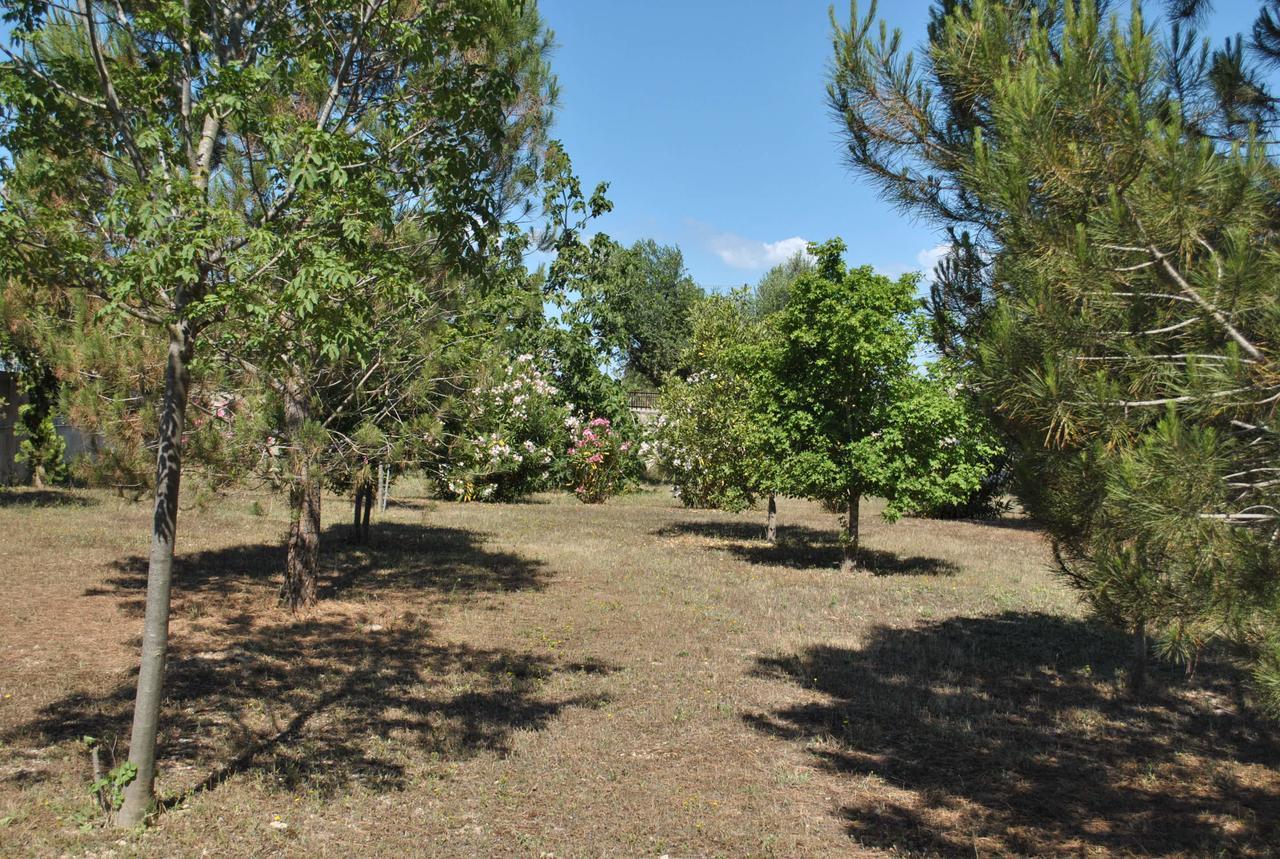 B&B Ginevra Pulsano Bagian luar foto