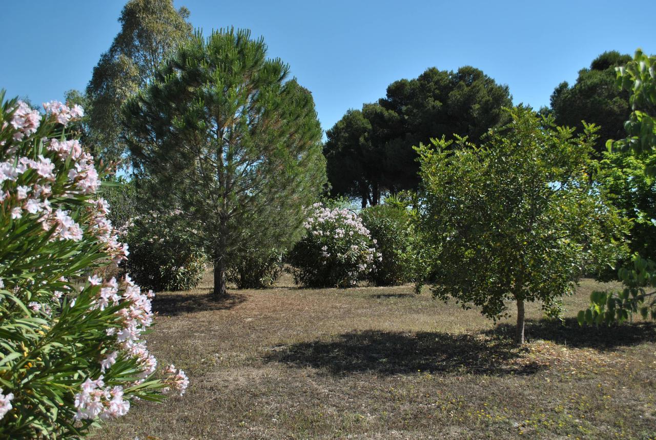 B&B Ginevra Pulsano Bagian luar foto